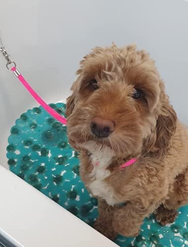 Pet Dog Grooming Loop, Nylon Restraint Noose Adjustable Fixed Dog Cat Safety Tether Straps Dog Grooming Supplies for Pet Grooming Table Bathtub 22 Inches - 4 Pack Orange
