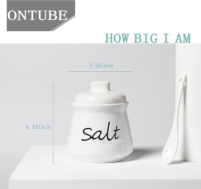 ONTUBE Ceramic Salt Bowl with Lid and Spoon 12oz (White)