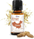 Ginger Essential Oil - Direct from Bio-Young Aromas - Pure Ginger Oil for Skin - Aceite de Jengibre - Aromatherapy 100% Therapeutic Premium Grade (15ml)