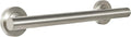 Lava Odoro Shower Grab Bar, Modern Stainless Steel Handicap Grab Bar for Bathtubs and Showers, Shower Safety Bar for Seniors Disabled, ADA-Compliant (Brushed Nickel, 24 Inch)