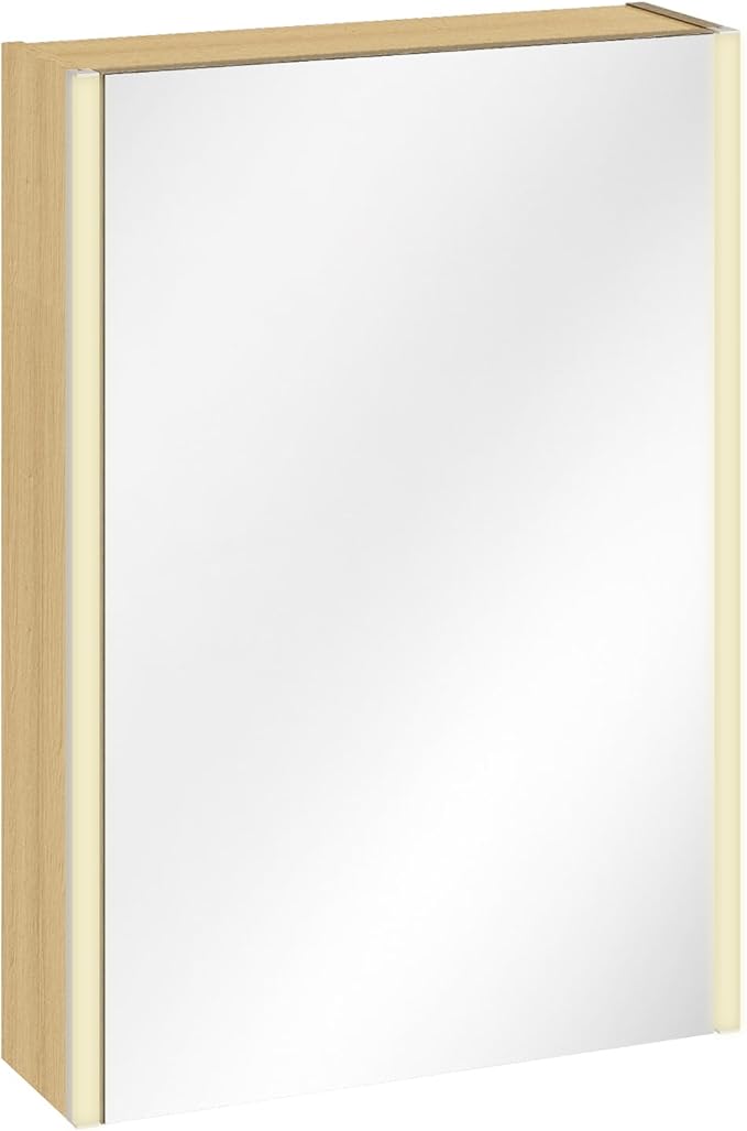 Lighted Bathroom Medicine Cabinet with Mirror，20 x 28 Inch Wall-Mounted Bathroom Wall Cabinet with Storage, LED Lights, Adjustable Shelves,Natural