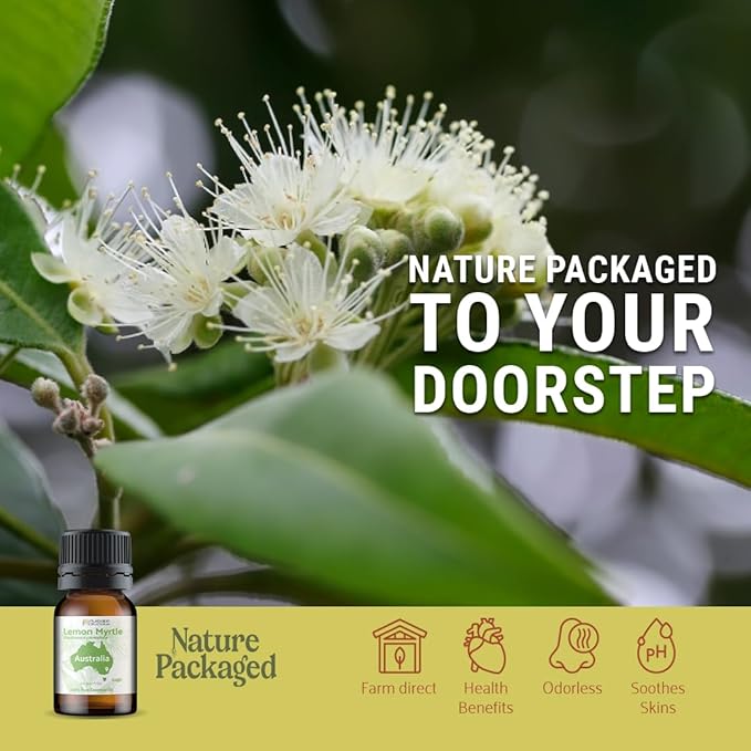 Lemon Myrtle Essential Oil - Experience an Invigorating, Fresh Citrus Aroma - Pure, Undiluted Therapeutic Grade Essential Oil - 5 ml