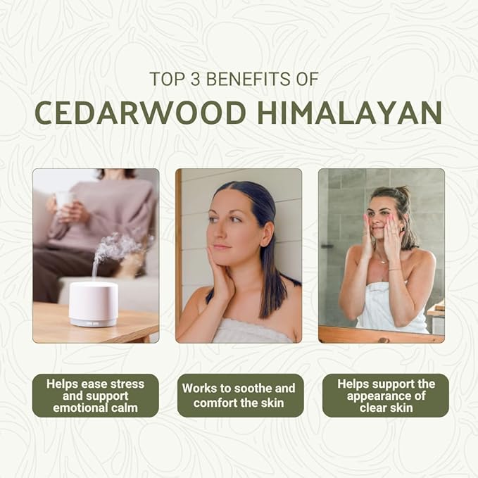 Cedarwood Himalayan Essential Oil - 100% Pure Steam Distilled Natural Cedarwood Himalayan Oil (Aceite de Cedro) from Natural Biotech NBT India for Aromatherapy & DIY Projects - 15ml