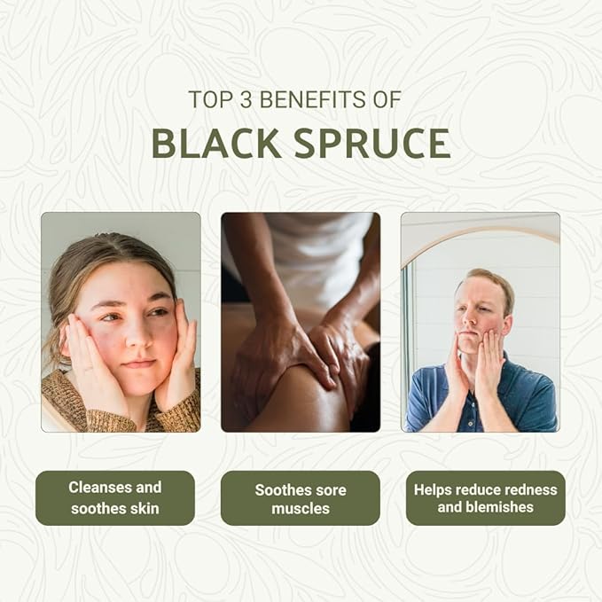Black Spruce Essential Oil from Canada - Pure Essential Oils for Diffuser, Humidifier, or Aromatherapy- Fresh & Forest-Like | Pure Therapeutic Grade (8oz)
