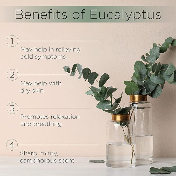 Radha Beauty Eucalyptus Essential Oil 4 oz - 100% Pure & Therapeutic Grade, Steam Distilled for Aromatherapy, Relaxation, Shower, Sauna, Bath, Steam Room and Other DIY Projects.