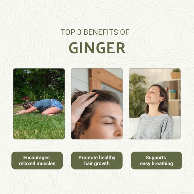 Ginger Essential Oil - Direct from Bio-Young Aromas - Pure Ginger Oil for Skin - Aceite de Jengibre - Aromatherapy 100% Therapeutic Premium Grade (15ml)