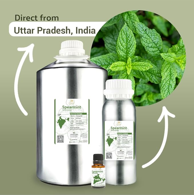 Spearmint Essential Oil - Direct from Essential Oils India - Steam Distilled - Aceite Esencial de Menta Verde for Aromatherapy, Massage, Diffuser, DIY Candle and Soap Making - 22lbs