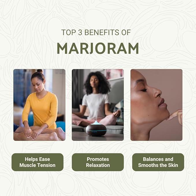 Marjoram Essential Oil - Direct from Al Sheikh for Export Egypt - Steam Distilled - Aceite de Mejorana for Aromatherapy, Massage, Diffuser, DIY Candle and Soap Making - 15ml