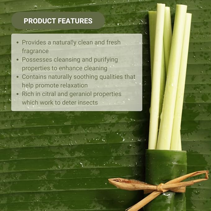 Lemongrass Essential Oil - Natural Aceite de Hierba Limón from Norex Flavours India - Lemongrass Essential Oils for Hair, Aromatherapy and Massage (22lbs)