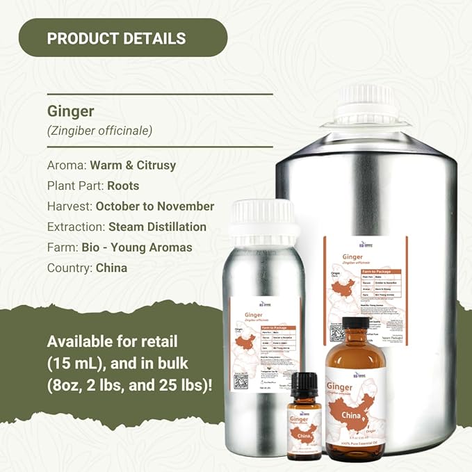 Ginger Essential Oil - Direct from Bio-Young Aromas - Pure Ginger Oil for Skin - Aceite de Jengibre - Aromatherapy 100% Therapeutic Premium Grade (15ml)