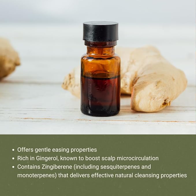 Ginger Essential Oil - Direct from Bio-Young Aromas - Pure Ginger Oil for Skin - Aceite de Jengibre - Aromatherapy 100% Therapeutic Premium Grade (2lbs)