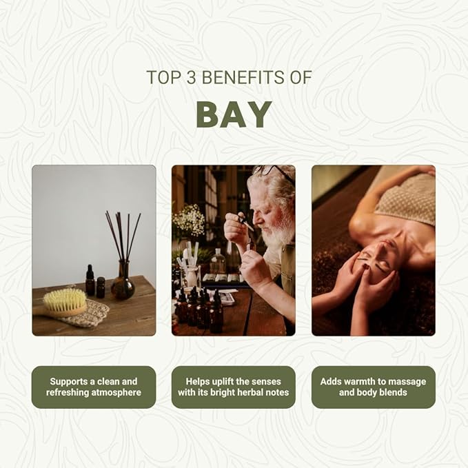 Bay Essential Oil - Direct from Greece - Steam Distilled - Laurel for Aromatherapy, Massage, Diffuser, DIY Candle and Soap Making - 2lbs