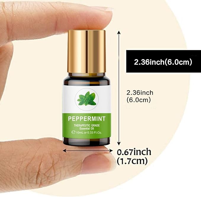 Essential Oils Set, 100% Organic Essential Oil, Lavender, Ylang Ylang, Tea Tree, Eucalyptus Scented Oil, Essential Oils for Diffusers for Home, Candle Making, Humidifiers (12)