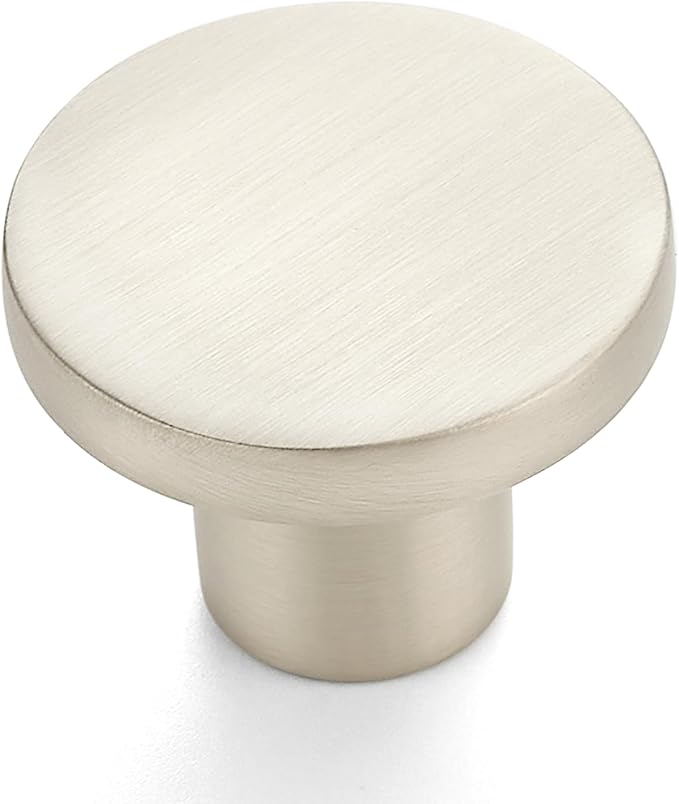 Ravinte 40 Pack Cabinet Knobs Brushed Nickel Kitchen Cabinet Knobs Round Dresser Drawer Pulls Closet Door Pulls 1-1/5 Inch