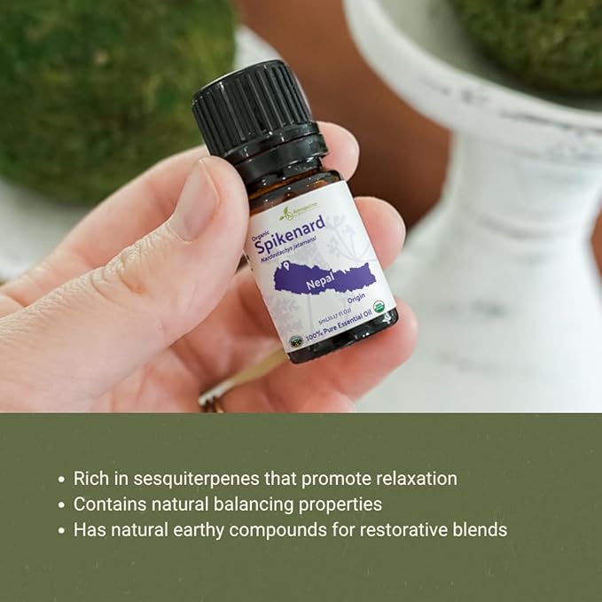 Organic Spikenard Essential Oil - Direct from Annapurna Aroma Nepal - Steam Distilled - Aceite de Nardo for Aromatherapy, Massage, Diffuser, DIY Candle and Soap Making - 8oz