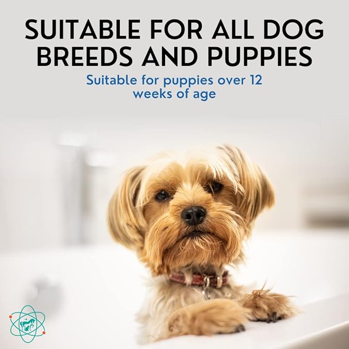 Gallon Bottle - 5 in 1 Dog Shampoo - Groomers Choice - Made in The USA