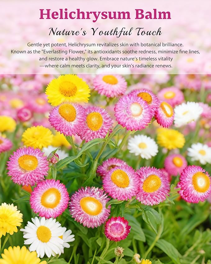 Helichrysum Multipurpose Balm - Natural Soothing Hydrating Salve with Helichrysum Oil for Thin, Fragile, B-ruised & Aging Skin | Moisturizes & Revitalizes Body & Face - 60G/2OZ