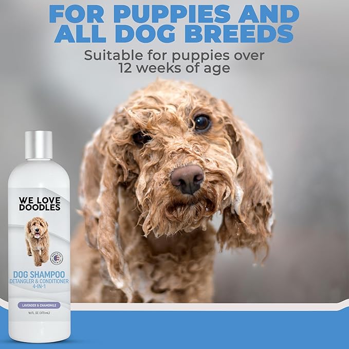 Dog Shampoo, Conditioner & Detangler - Best Shampoo for Goldendoodles, Poodles & Doodles - for Matted Pet Hair - Sensitive Skin Shampoo for Puppies - Made in The USA, 16OZ (Lavender)