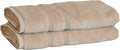 Mosobam Luxury Turkish Set of 2 Hand Towels 16X30 Light Taupe 700 GSM Bamboo Viscose & Aegean Turkish Combed Cotton