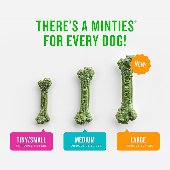 Minties Dental Chews for Dogs, 20 Count, Vet-Recommended Mint-Flavored Treats for Medium Dogs 25-50 lbs, Dental Bones Clean Teeth, Fight Bad Breath, and Removes Plaque and Tartar