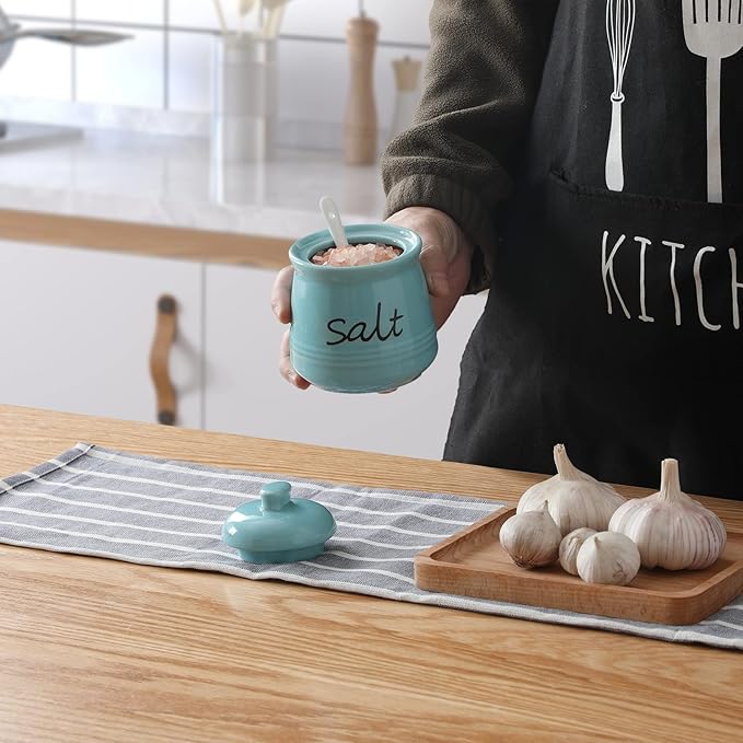 ONTUBE Ceramic Salt Bowl with Lid and Spoon 12oz (Turquoise)