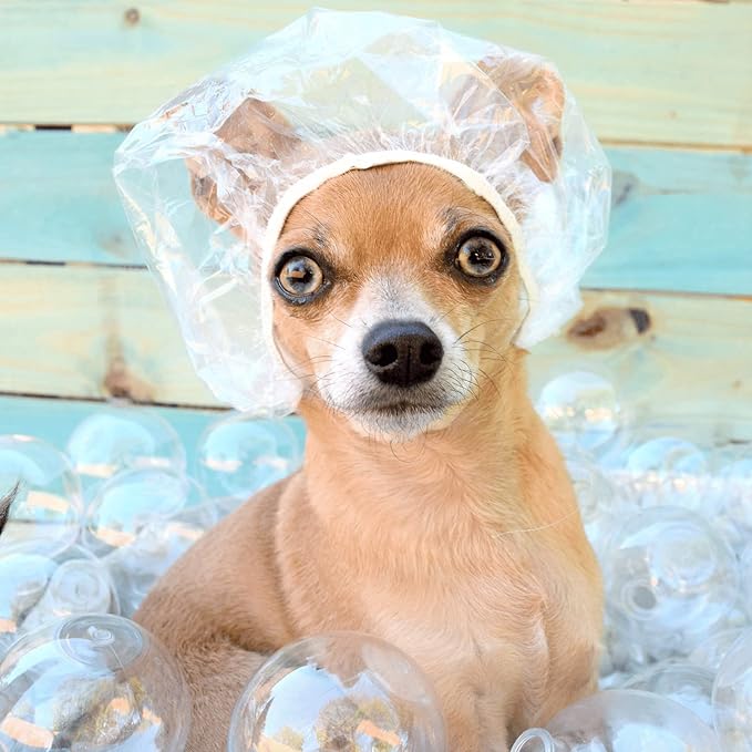 100 Pcs Dog Shower Cap Dog Ear Covers for Bathing Disposable Pet Shower Caps Plastic Overhanging Dog Ear Protection Cats Ear Drops Guard for Kitten Puppy Small Pets Bath Clear Waterproof (100 Pcs)