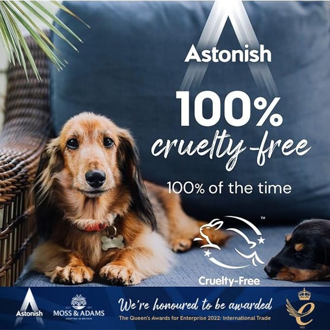 Astonish Streak Free Foaming Bathroom Cleaner Spray Bottle - Deep Cleaning White Jasmine & Basil Scented Spray For Soap Scum, Watermarks & Limescale - Cruelty Free Household Cleaning Supplies, 750 ml