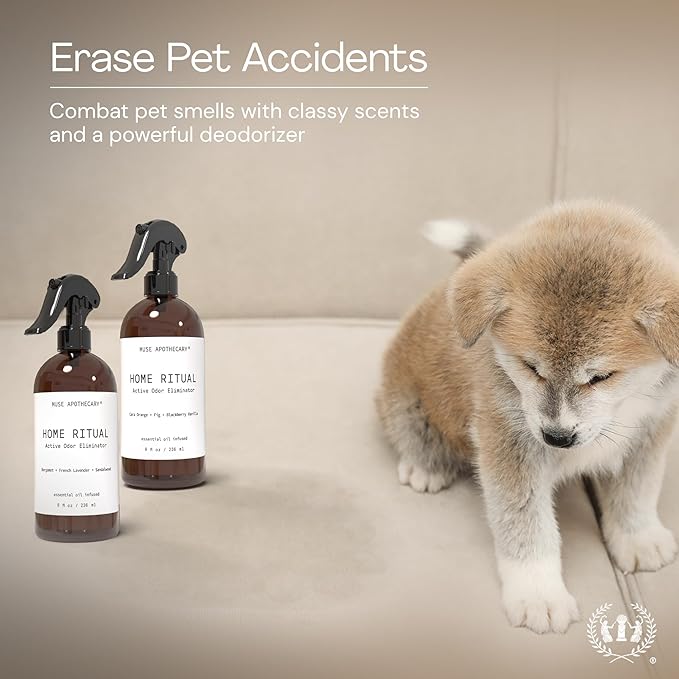 Muse Apothecary Home Ritual Active Odor Eliminator Spray - Furniture Deodorizer Spray & Bathroom Odor Eliminator for Home - Essential Oil Air Freshener - 8oz, Cara Orange + Fig + Blackberry Vanilla, 2