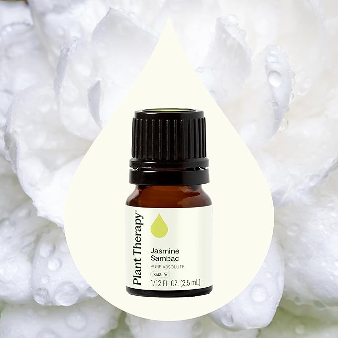 Plant Therapy Jasmine Sambac Absolute Essential Oil 100% Pure, Undiluted, Natural Aromatherapy, Therapeutic Grade 2.5 mL (1/12 oz)