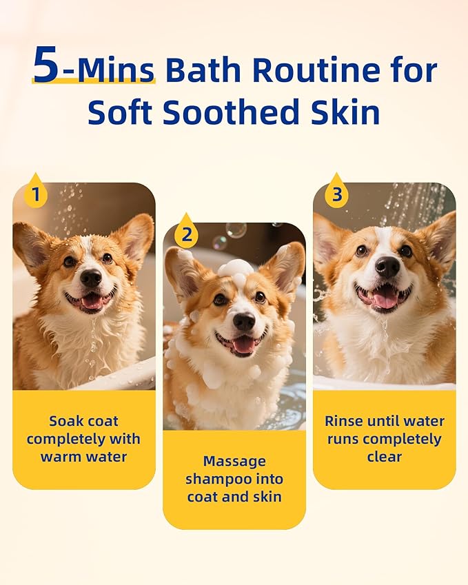Unipaws Probiotic Dog Shampoo for Short-Haired Coats – Itch Relief, Deodorizing & Hydrating for Healthy, Fresh Skin with Calendula & Oatmeal – EWG Green & White Tea Scent, Made in Korea, 16.9 Fl Oz