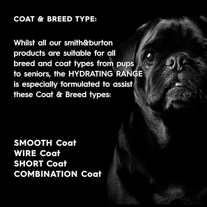 smith&burton Hydrating Dog & Cat Shampoo And Conditioner Duo Set, Natural Moisturizing Coat Care That Replenishes, Softens And Enhances Silky Smooth Shine, Scent No.1, 8.4 Fl oz / 250ml Each