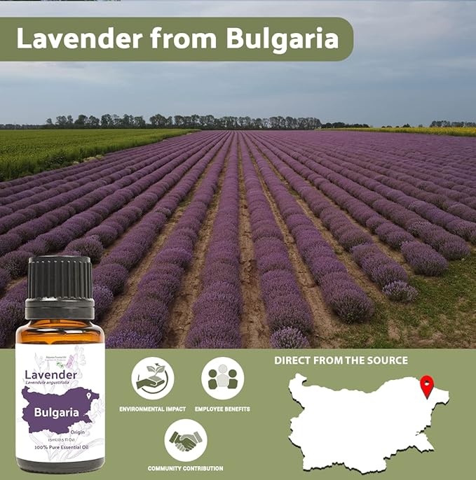 Lavender Oil - Bulgarian Essential Oils - Lavender Diffuser - Pure Therapeutic Grade (2lbs)