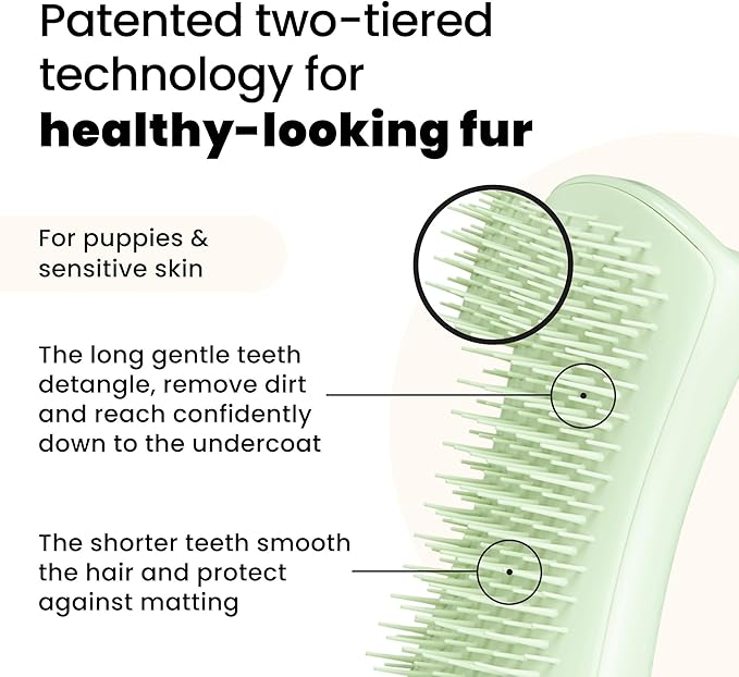 Pet Teezer Puppy Essential Dog Brush, with Extra Soft Teeth for Gentle Grooming on Wet or Dry Fur, Mint