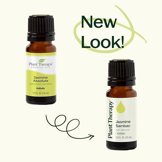 Plant Therapy Jasmine Sambac Absolute Essential Oil 100% Pure, Undiluted, Natural Aromatherapy, Therapeutic Grade 2.5 mL (1/12 oz)