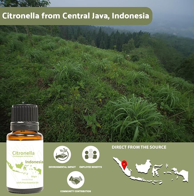 Citronella Essential Oil - Direct from Central Java, Indonesia - Pure Essential Oil for Diffusers and Aromatherapy | 100% Pure Therapeutic Grade (2lbs)