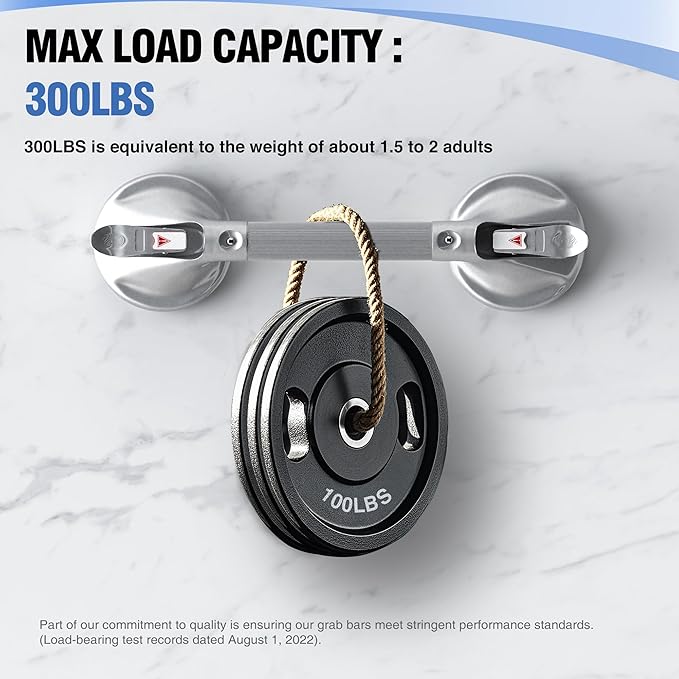 DAILYLIFE Grab Bars for Bathtubs and Showers, 17 inch Shower Handles for Elderly Suction, 300lbs Safety Shower Grab bar for Seniors and Elderly, Silver(2 Pack)
