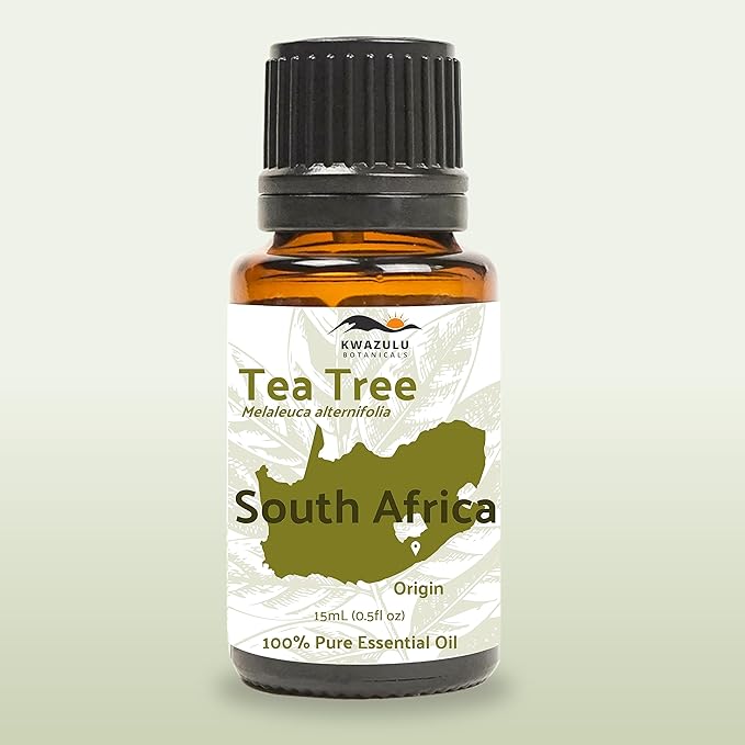 Tea Tree Essential Oil - Direct from Kwazulu Botanicals South Africa - Steam Distilled - Aceite Esencial de Árbol de Té for Aromatherapy, Diffuser, DIY Candle and Soap Making - 15ml