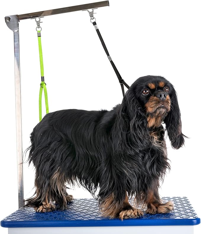Pet Dog Grooming Loop, Nylon Restraint Noose Adjustable Fixed Dog Cat Safety Tether Straps Dog Grooming Supplies for Pet Grooming Table Bathtub (2 Pack)