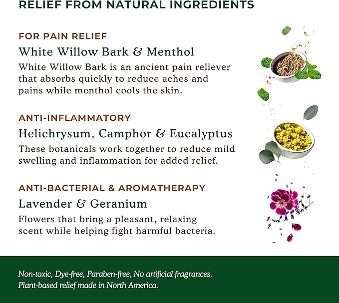 Nature's Willow Willow Balm Natural Pain Relief Cream for Muscles & Joints | Fast-Acting with Willow Bark & Menthol | Free from Artificial Fragrances & Dyes | 1-Pack | 32 fl oz