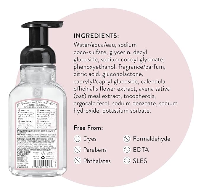 J.R. Watkins Foaming Hand Soap with Pump Dispenser, Moisturizing Foam Hand Wash, Alcohol-Free, Cruelty-Free, Rosewater, 9 fl oz, 3 Pack