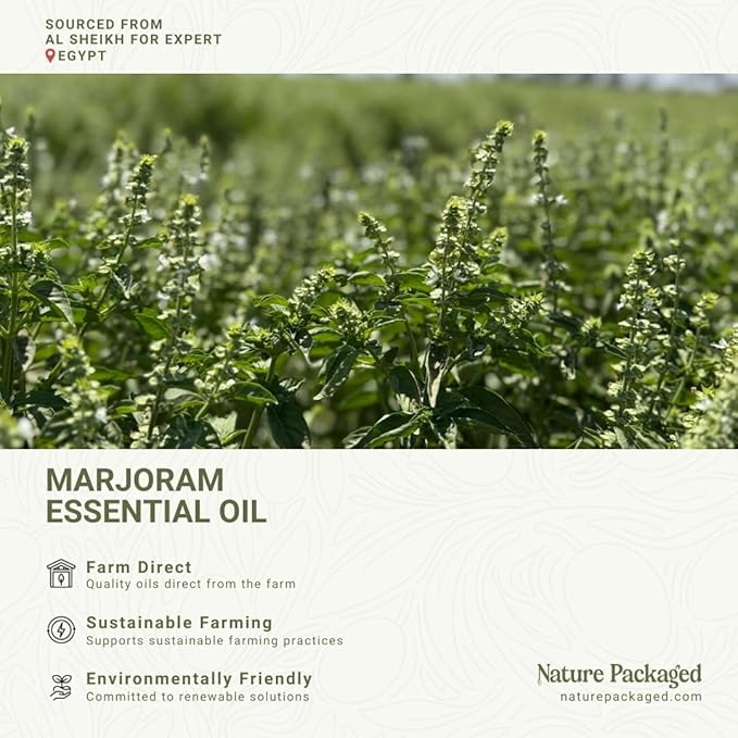 Marjoram Essential Oil - Direct from Al Sheikh for Export Egypt - Steam Distilled - Aceite de Mejorana for Aromatherapy, Massage, Diffuser, DIY Candle and Soap Making - 8oz