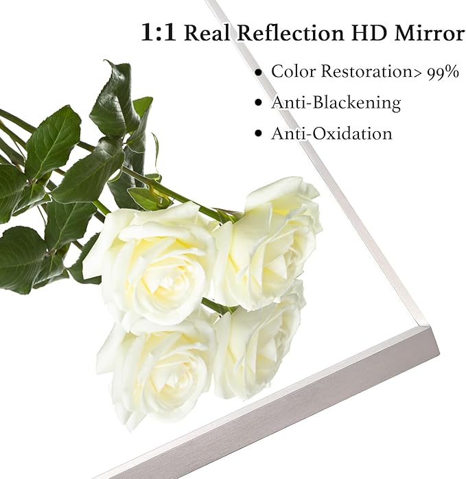 24x36 Inch Silver Bathroom Mirror - Copper-Free Mirror, Aluminum Alloy Frame Vanity Rectangle Wall Mounted Modern Mirror for Bedroom/Living Room/Porch Horizontal or Vertical