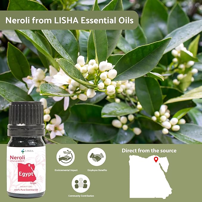 Neroli Essential Oil - Direct from Egyptian Nile Delta Farms - Steam Distilled - Aceite Azahar for Aromatherapy, Massage, Diffuser, DIY Candle and Soap Making - 15ml