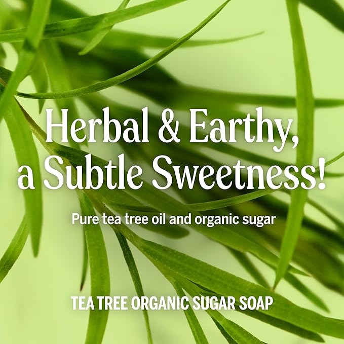 Dr. Bronner's - Organic Sugar Soap (Tea Tree, 64 Ounce) - Made with Organic Oils, Sugar and Shikakai Powder, 4-in-1 Uses: Hands, Body, Face and Hair, Cleanses, Moisturizes and Nourishes, Vegan