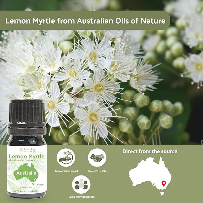 Lemon Myrtle Essential Oil - Experience an Invigorating, Fresh Citrus Aroma - Pure, Undiluted Therapeutic Grade Essential Oil - 5 ml