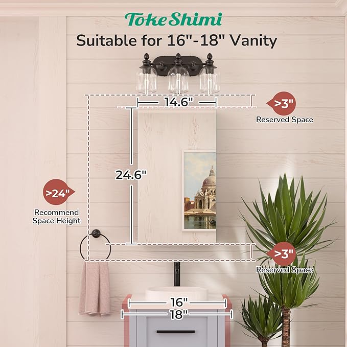 TokeShimi 14x24 Bathroom Mirror with Storage Tempered, Aluminum Black Recessed Medicine Cabinet with Mirror Frameless Stepless Adjustable Shelf, Surface Mount Medicine Cabinet for Bathroom