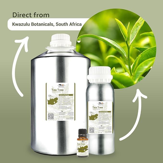 Tea Tree Essential Oil - Direct from Kwazulu Botanicals South Africa - Steam Distilled - Aceite Esencial de Árbol de Té for Aromatherapy, Diffuser, DIY Candle and Soap Making - 15ml