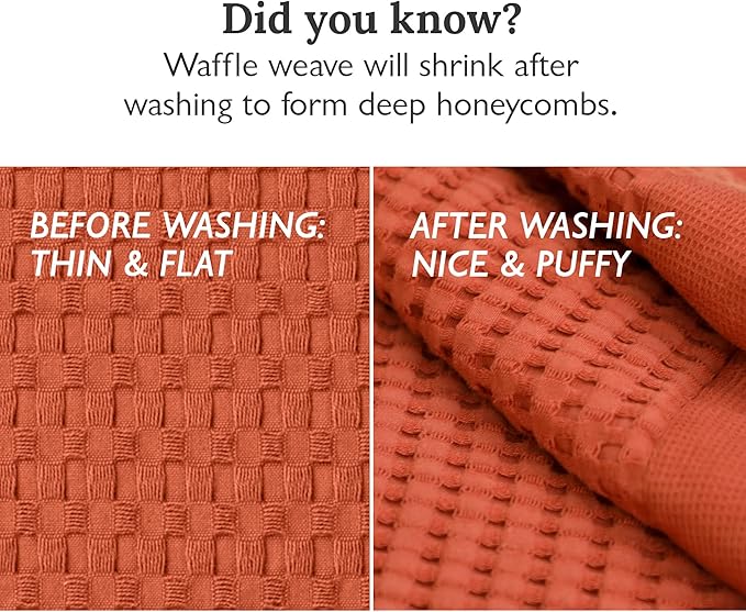 GILDEN TREE Bathroom Mat Absorbent Cotton Quick Dry for Shower, Bath & Bathtub Washable Thin, Modern Style (Clay)