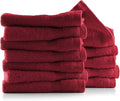 Hearth & Harbor Washcloths 12 Pack - 100% Cotton Washcloth for Body and face, High Absorbent and Soft 13"x13" Body Wash Cloth, Quick Dry - Red Washcloths