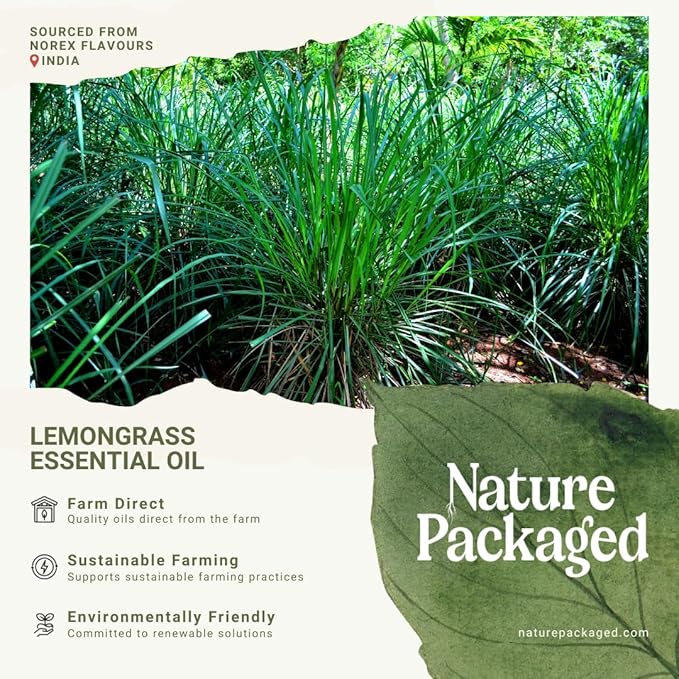 Lemongrass Essential Oil - Natural Aceite de Hierba Limón from Norex Flavours India - Lemongrass Essential Oils for Hair, Aromatherapy and Massage (2lbs)